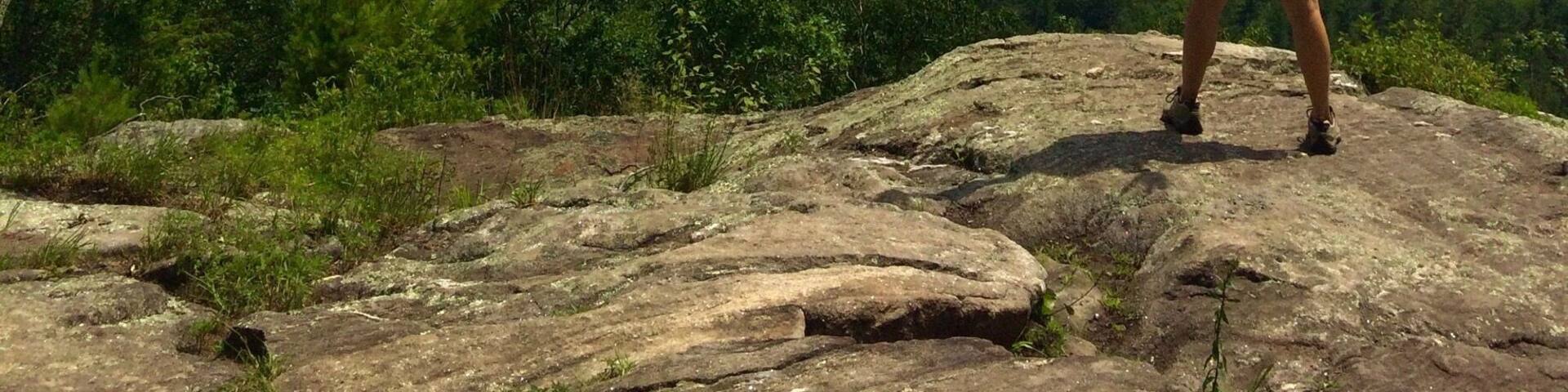 #TakeaHike right up the Jessie Gerard trail in Barkhamsted, CT! It's mostly uphill but a fairly short hike. There's a beautiful stream halfway up as well that spills over into an awesome waterfall. There is one switchback turn that you want to go left on the blue/yellow trail instead of continuing on the solid blue trail but other than that it's very straight forward. You could make it more adventurous on the way up or down and do the waterfall trail which is a bit more work. When you get to the top it's stunning vistas for a far as you can see. You can even see the Farmington River winding its way through the trees below. It's my happy place. I spend lots of time meditating up here in all of the seasons. ❤️