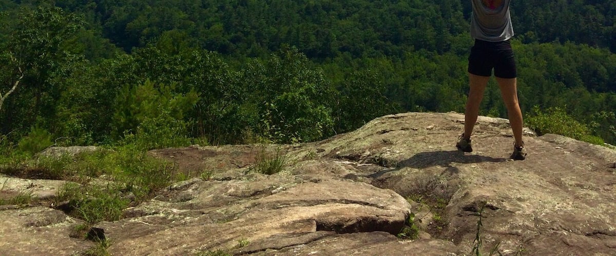 A person standing on a rocky outcrop with arms raised, overlooking a dense forested valley.