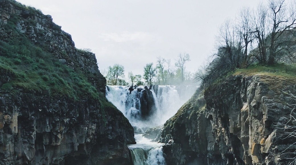 Steep short hike to this two tired waterfall. Best to spot some reptiles and wild flowers. Bonus : Rainbows if lucky