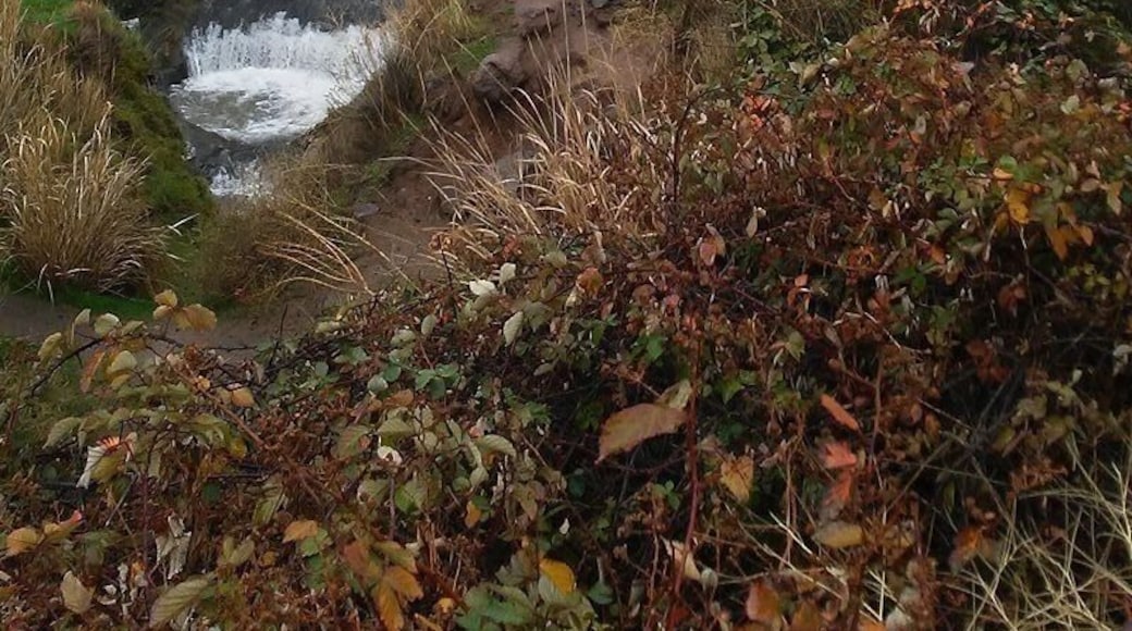 Beautiful spot to visit and have a nice lunch and enjoy a easy walk to see this amazing roaring waterfall.
