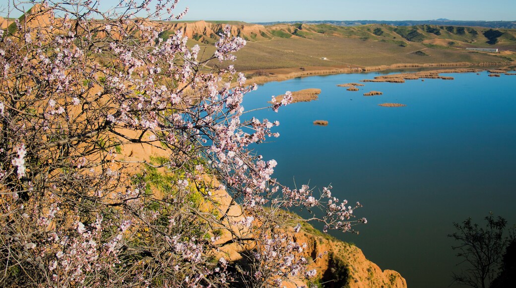 Burujón, Toledo, Spain