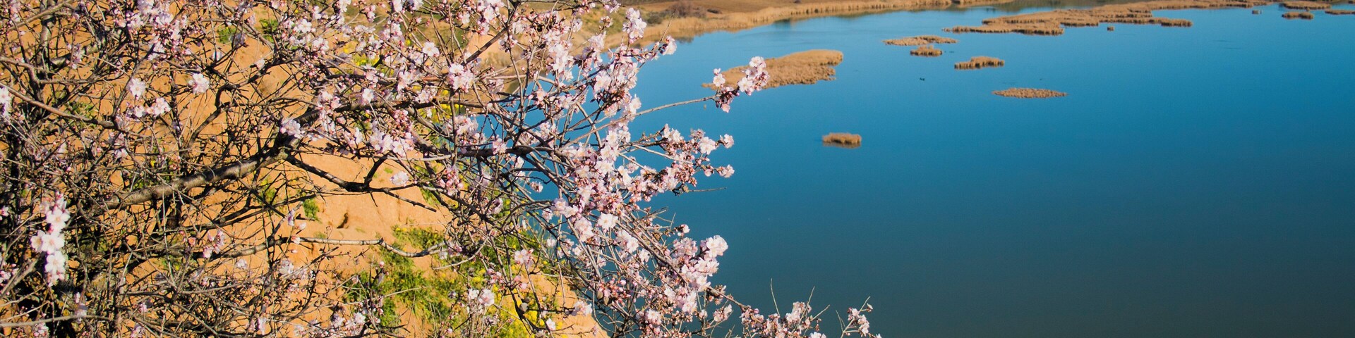 Burujón, Toledo, Spain