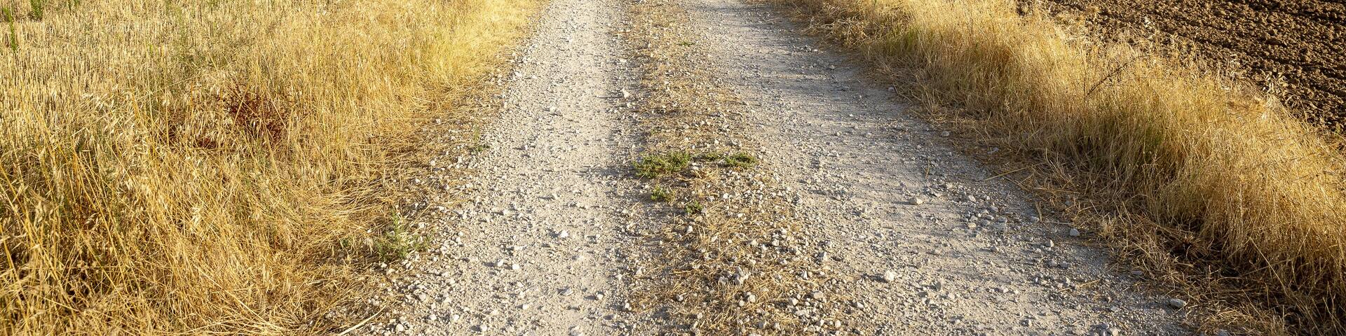 A gravel road cutting through a field with dry grass on either side and a plowed field on the right.