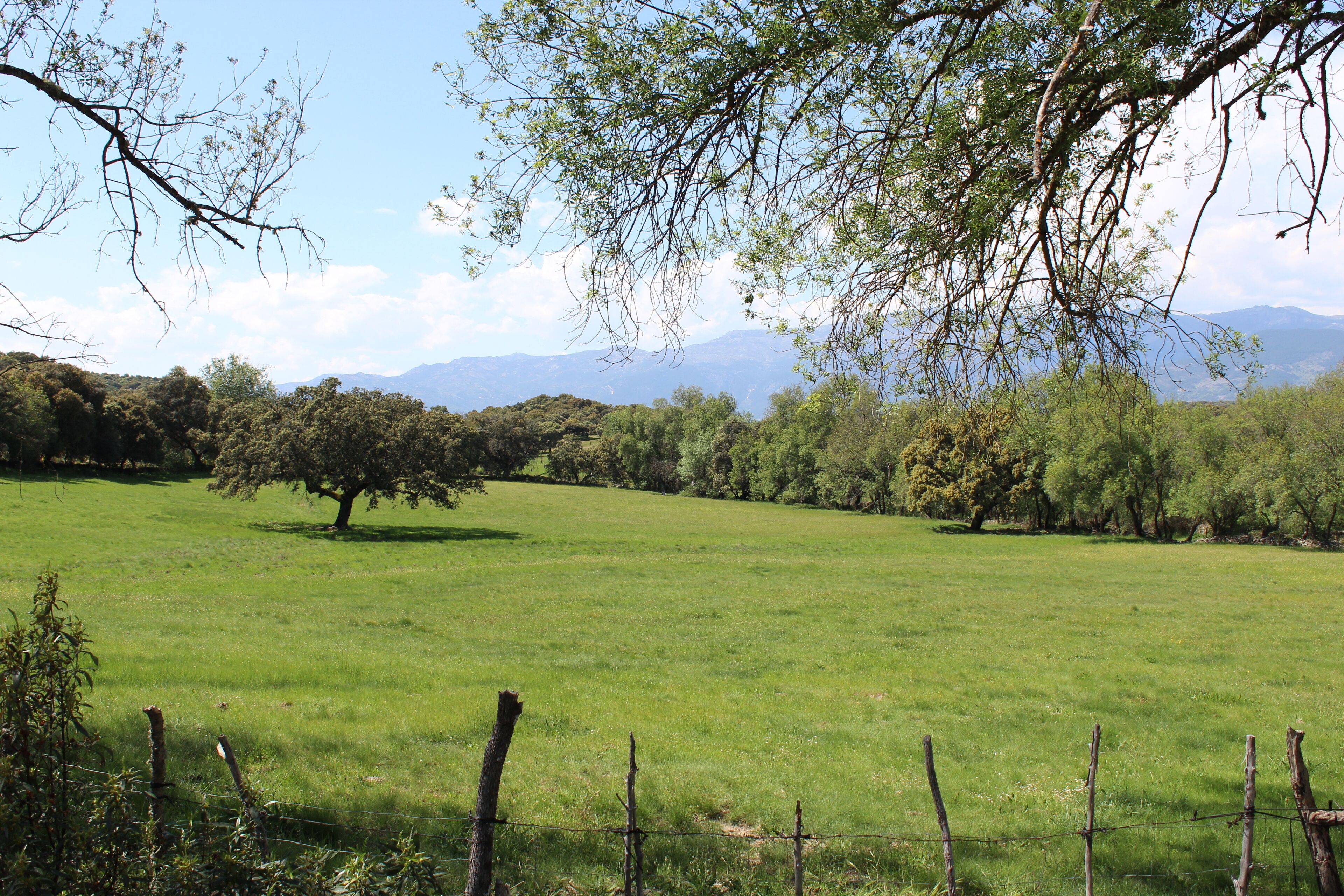 This is a photography of a Site of Community Importance in Spain with the ID: