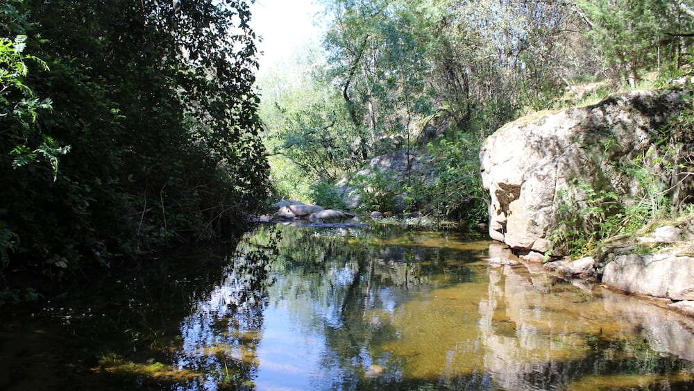 A calm river surrounded by dense foliage and rocky terrain.