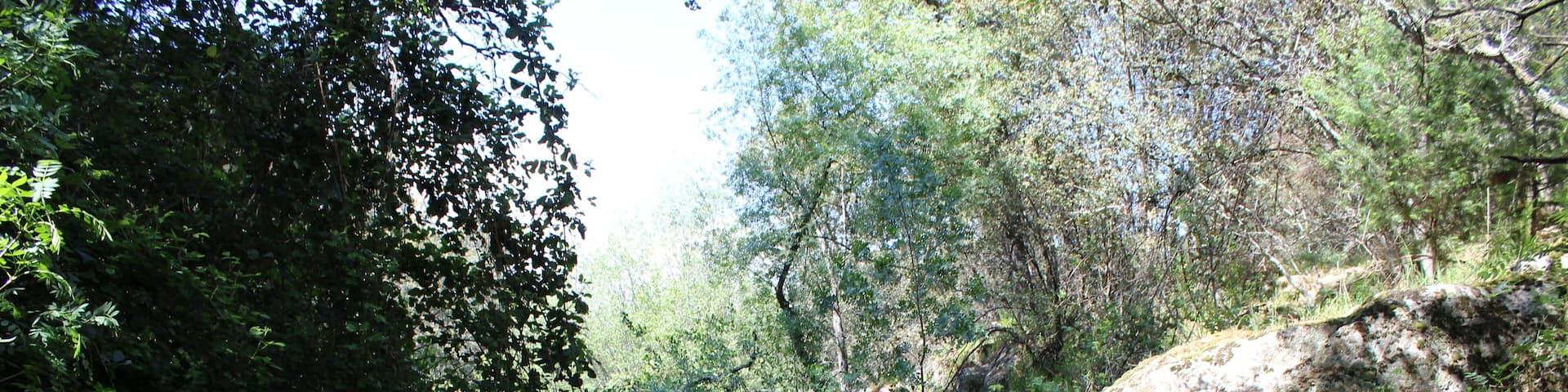 Arroyo del Lugar, provincia de Toledo.