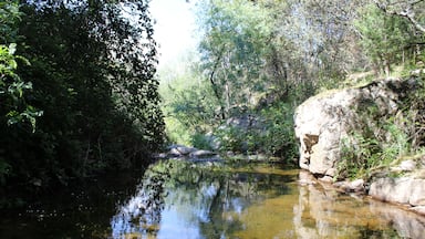 A calm river surrounded by dense foliage and rocky terrain.