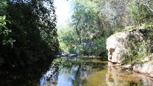 Arroyo del Lugar, provincia de Toledo.