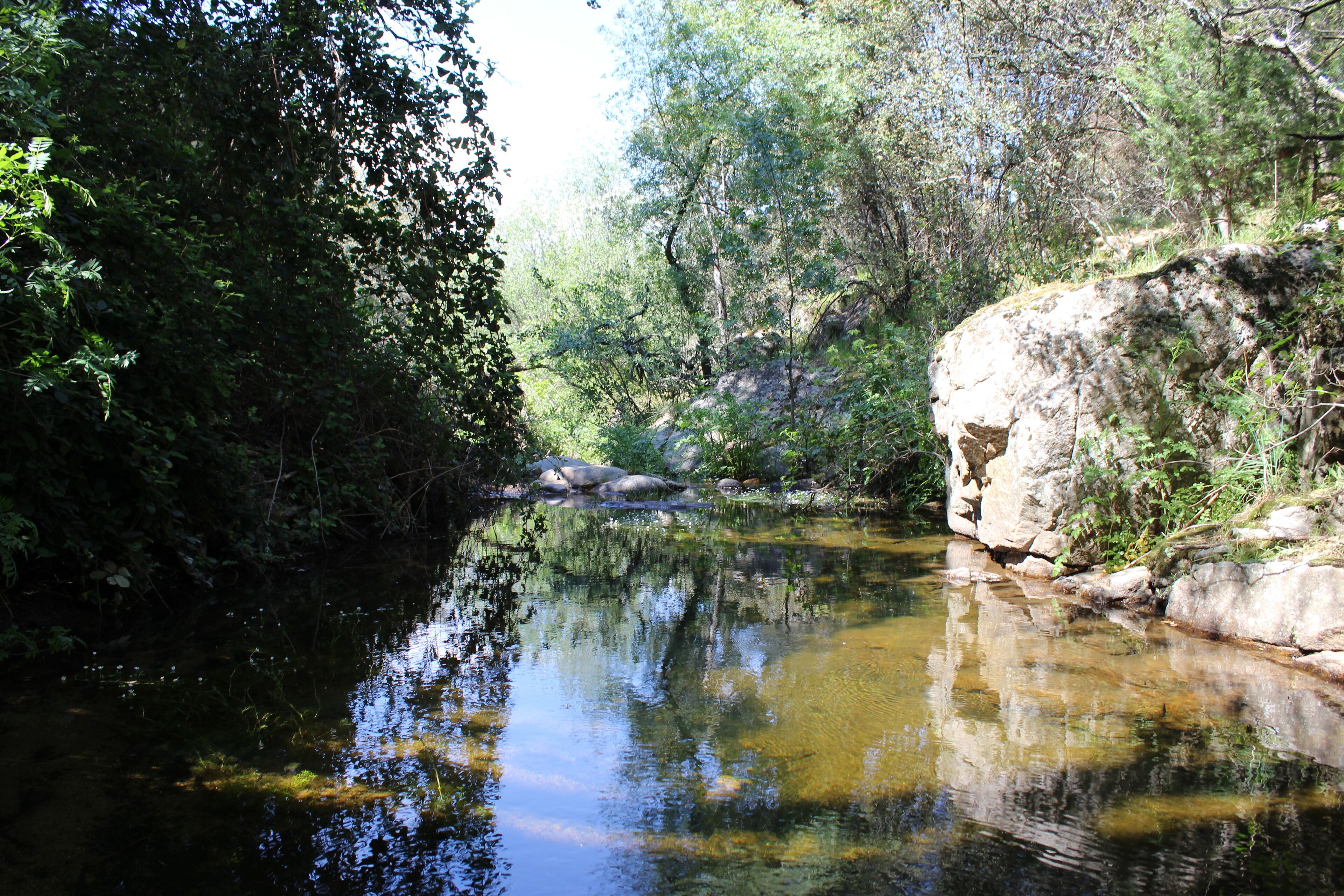 A calm river surrounded by dense foliage and rocky terrain.