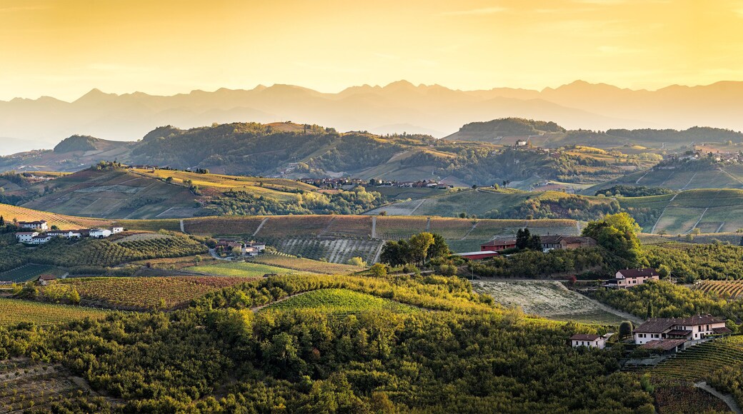 ํ์คํฌ๋ผ๊ณ