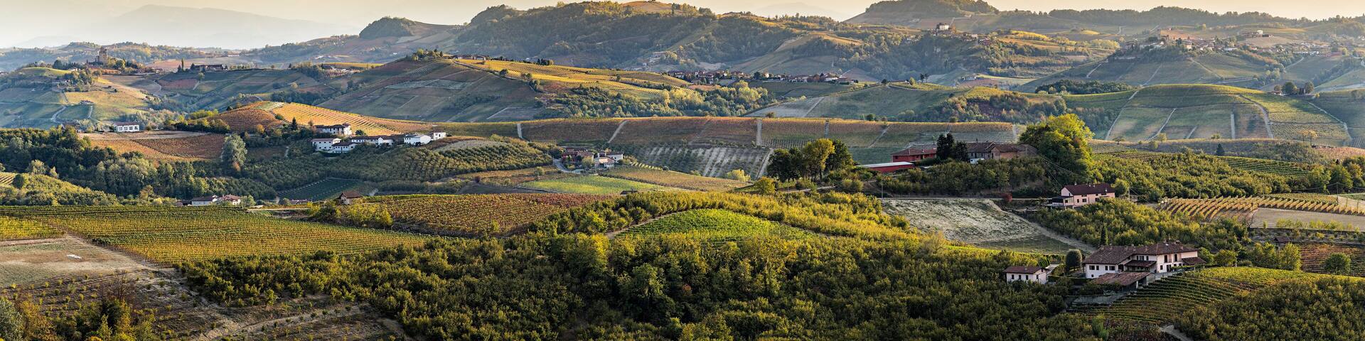wide panorama of Langhe region in northern italy, on autumn,unes