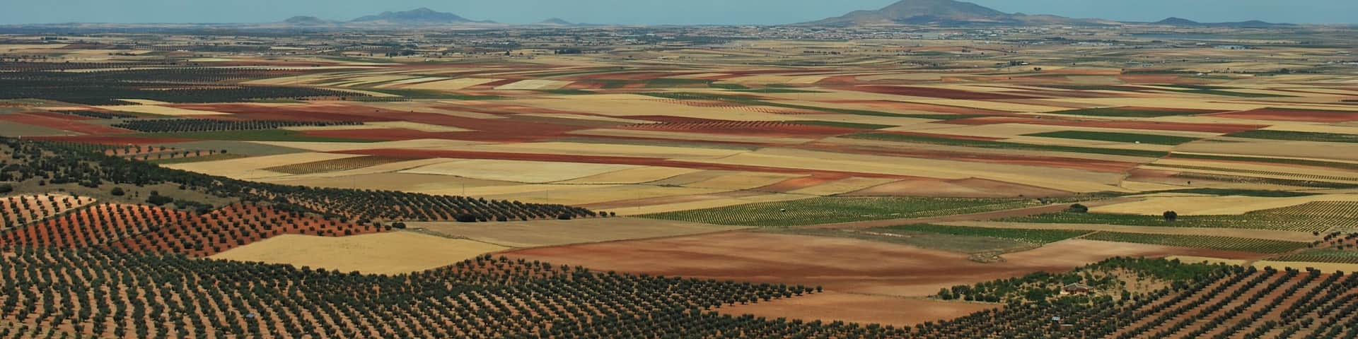 Los Yébenes, provincia de Toledo, Castilla-La Mancha, España.