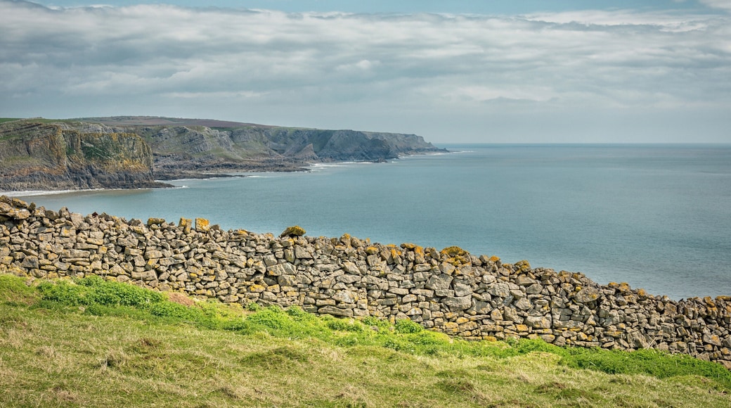 The beautiful and unspoilt South Gower Coast as seen from the coastal path, well worth a walk if your in the Swansea, South Wales area.