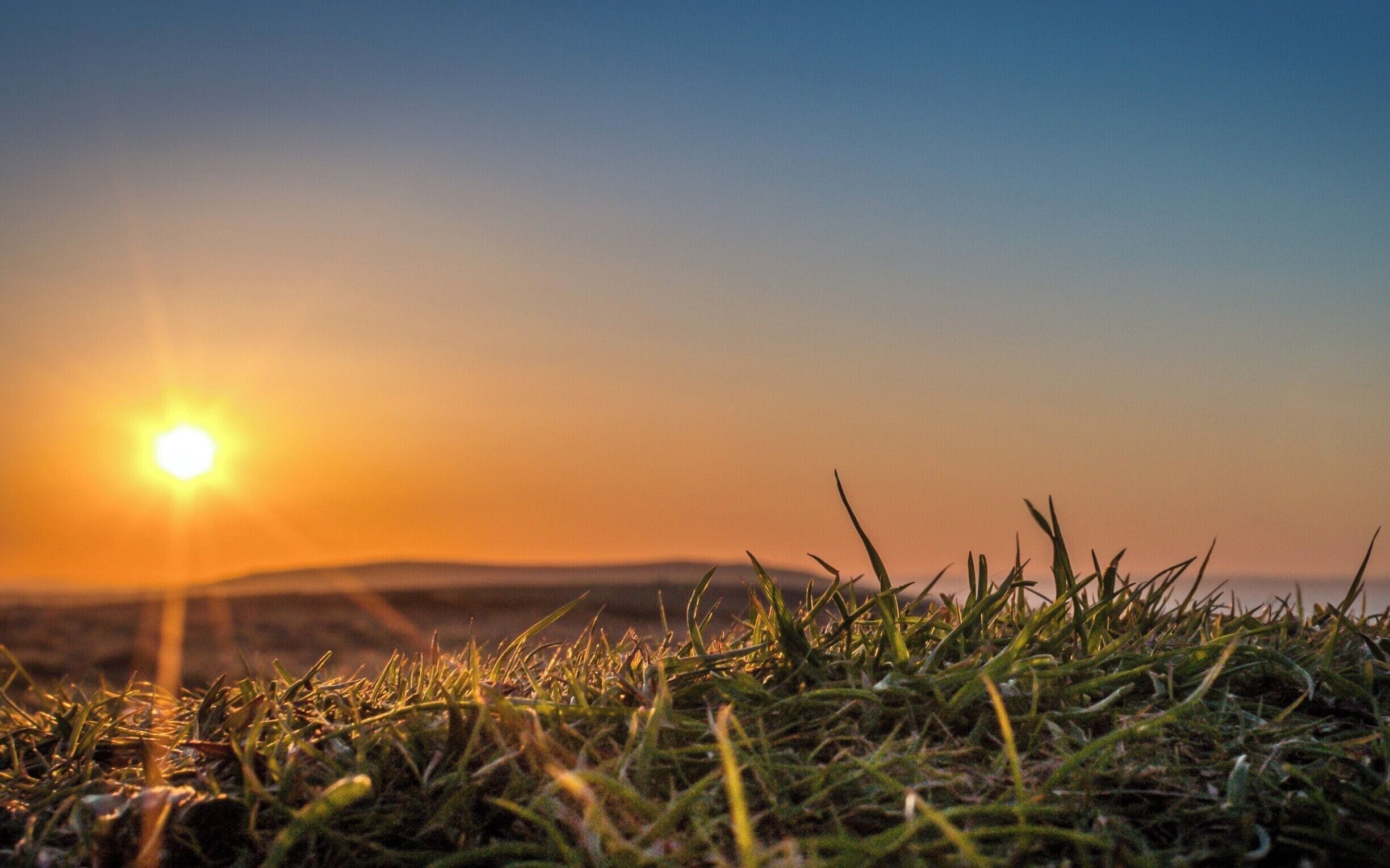 I love this photo because it gives a real sense of how the awesome Sun's energy brings life to everything on Earth. This was taken at Cefyn Bryn on the Gower Peninsula. 