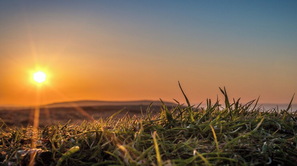 I love this photo because it gives a real sense of how the awesome Sun's energy brings life to everything on Earth. This was taken at Cefyn Bryn on the Gower Peninsula.