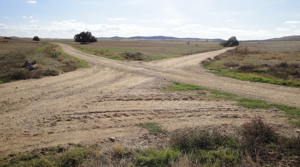 Cruce camino real. Cruce de la senda Galiana y por encima el camino Real.