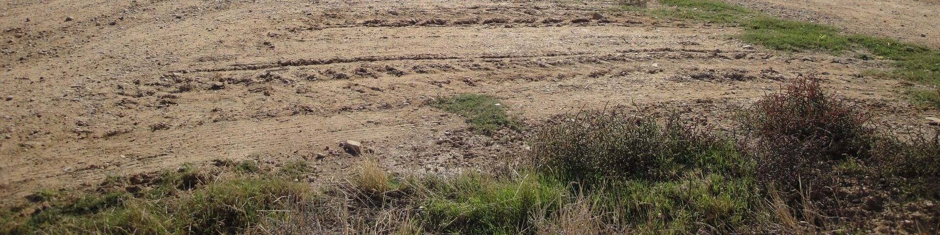 Cruce camino real. Cruce de la senda Galiana y por encima el camino Real.
