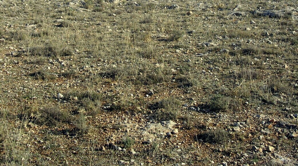 2010-11-07 Eremita de Santa Ana