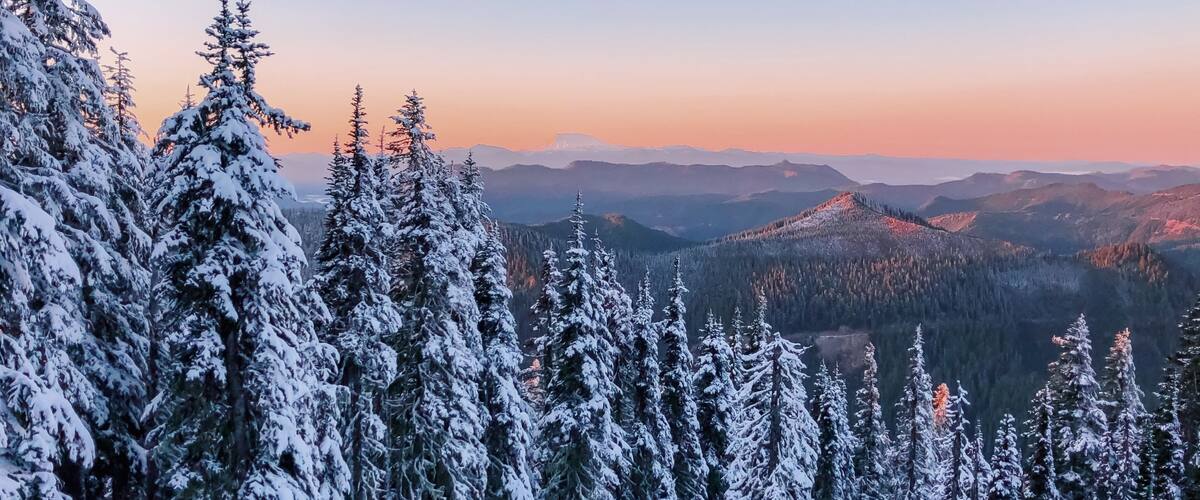 Sunrise colors on the way to the lookout.