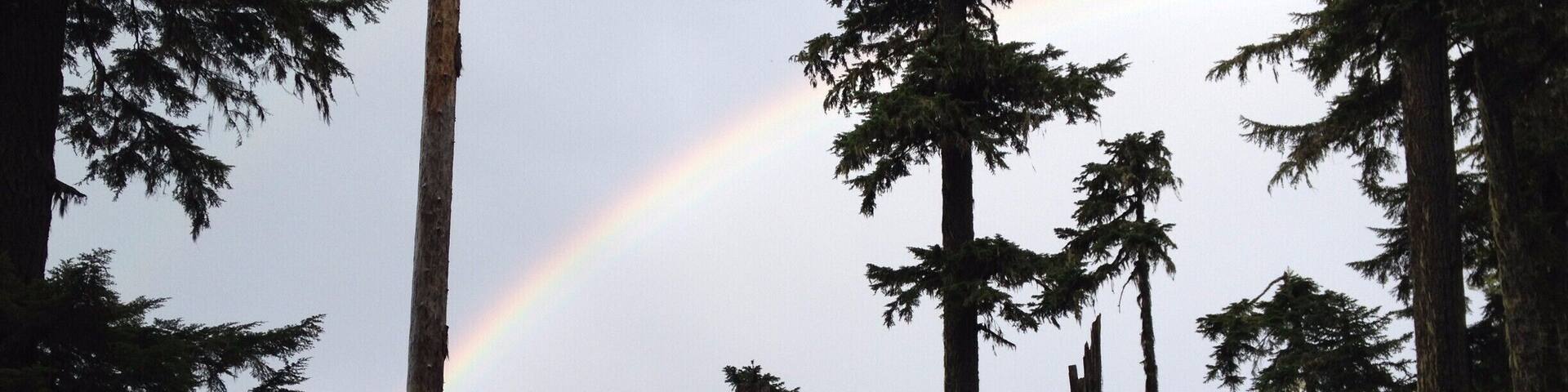 On the trail to Pothole Lake, we were blessed with a thunderstorm and this gorgeous double rainbow between us and the glacier fields on Mt. Rainier.