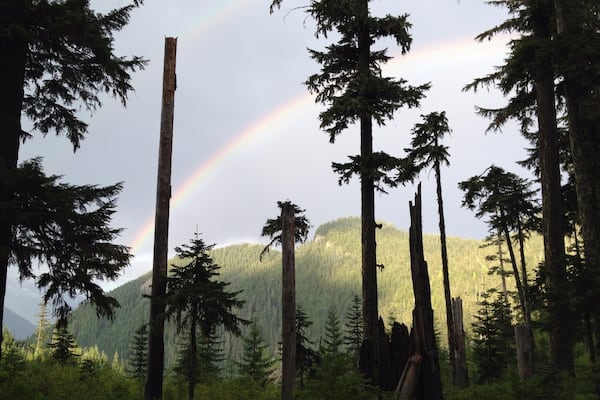 On the trail to Pothole Lake, we were blessed with a thunderstorm and this gorgeous double rainbow between us and the glacier fields on Mt. Rainier.