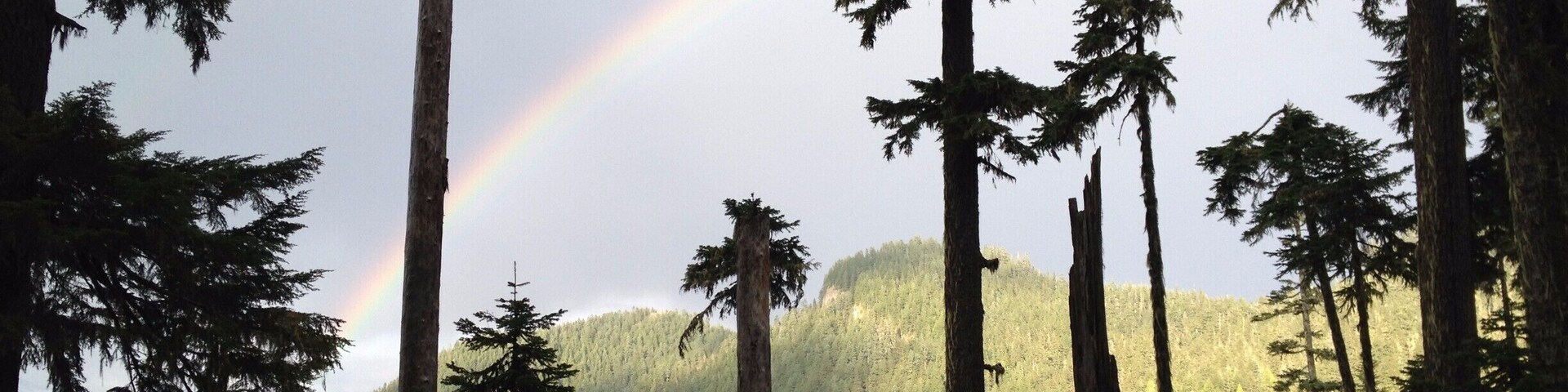 On the trail to Pothole Lake, we were blessed with a thunderstorm and this gorgeous double rainbow between us and the glacier fields on Mt. Rainier.