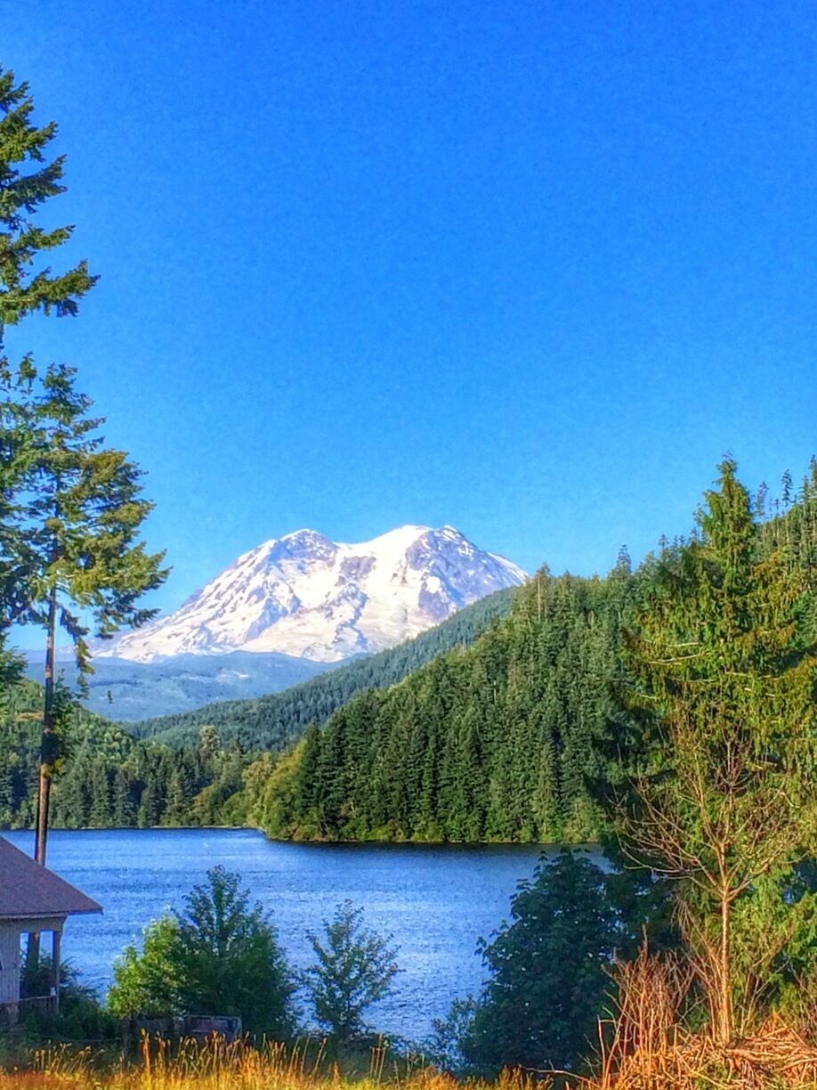 The incredible view of Mt Rainier and beautiful Mineral Lake from the shore. Mineral Lake is known for being the home of the 10 lb trout!
 This is located on the south-western side of the mountain and is a great day trip from the Seattle area. There is a boat launch and campgrounds at the lake, one only accessible by boat that is, by-word-of-mouth, unbeatable with a view of the mountain. A lovely place to spend some time visiting.
There is also a historic lodge (with this view) nearby that is available to stay in. 
http://www.minerallakelodge.com

#TroverDetour