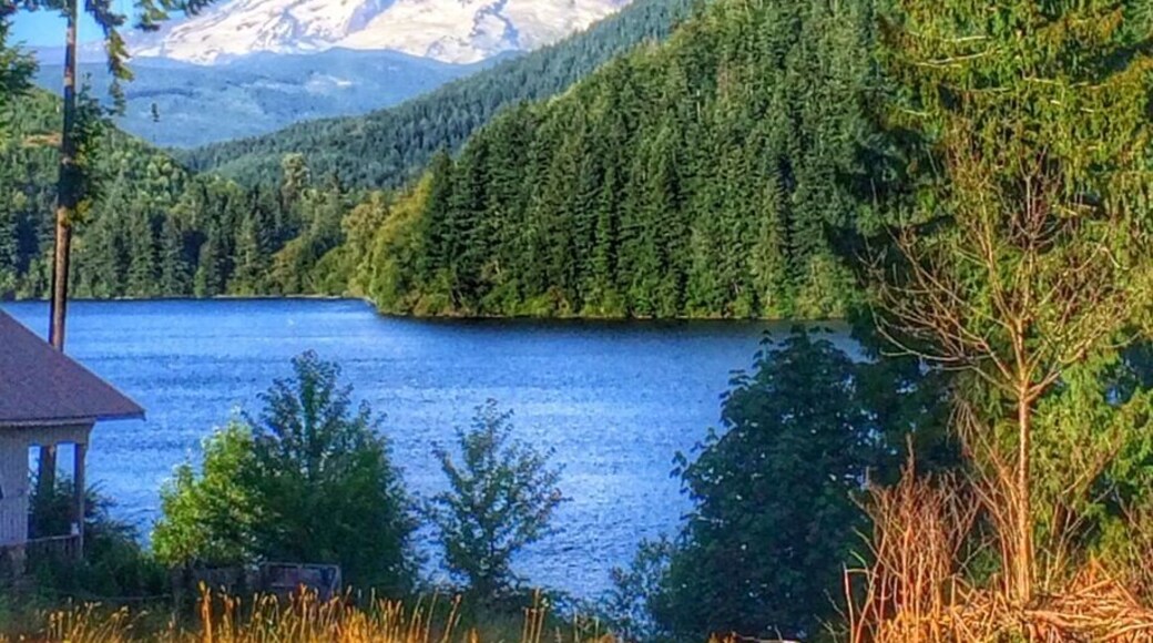 The incredible view of Mt Rainier and beautiful Mineral Lake from the shore. Mineral Lake is known for being the home of the 10 lb trout!
This is located on the south-western side of the mountain and is a great day trip from the Seattle area. There is a boat launch and campgrounds at the lake, one only accessible by boat that is, by-word-of-mouth, unbeatable with a view of the mountain. A lovely place to spend some time visiting.
There is also a historic lodge (with this view) nearby that is available to stay in.
http://www.minerallakelodge.com
#TroverDetour