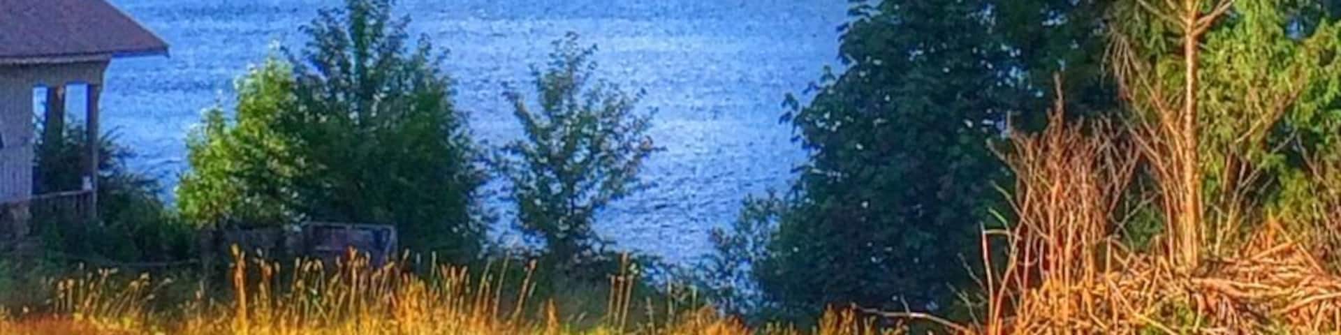 The incredible view of Mt Rainier and beautiful Mineral Lake from the shore. Mineral Lake is known for being the home of the 10 lb trout!
This is located on the south-western side of the mountain and is a great day trip from the Seattle area. There is a boat launch and campgrounds at the lake, one only accessible by boat that is, by-word-of-mouth, unbeatable with a view of the mountain. A lovely place to spend some time visiting.
There is also a historic lodge (with this view) nearby that is available to stay in.
http://www.minerallakelodge.com
#TroverDetour
