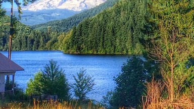 Uma montanha com picos nevados, um lago e uma floresta densa.