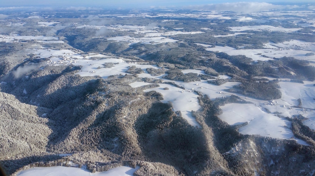 Germany, Baden-Württemberg, approach into ZRH across the Southern part of Black Forest