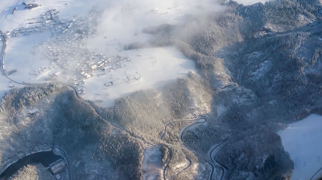 Germany, Baden-Württemberg, approach into ZRH across the Southern part of Black Forest