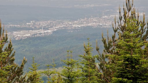 Ausblick Richtung Gaggenau (?)