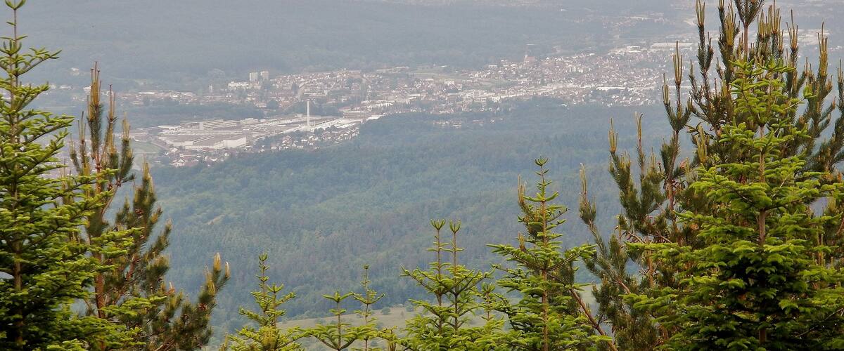A mountainous landscape with dense green forests and a distant cityscape.