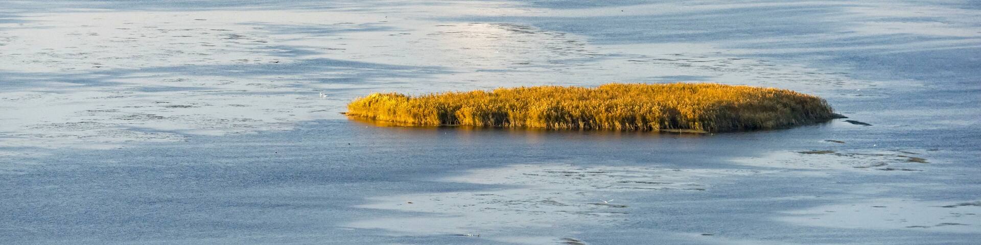 Aerial view of serene wetlands with lush green islands and tranquil water, Astrakhan Nature Reserve, Russia.
