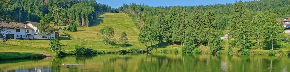 See Am Skilift, Stehlesee, Herrischried-Stehle