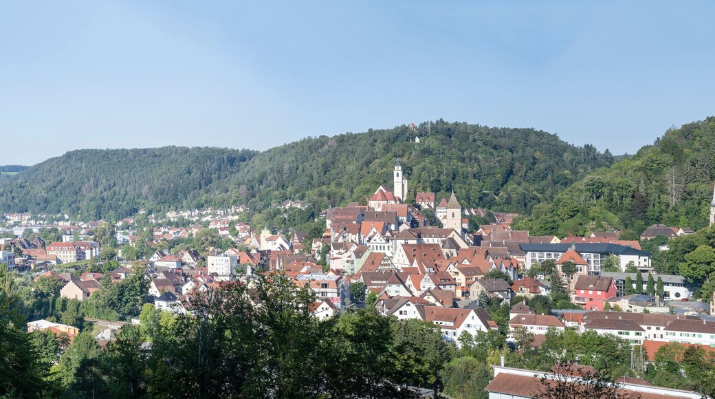 ฮอร์บ อัม เนคคาร์