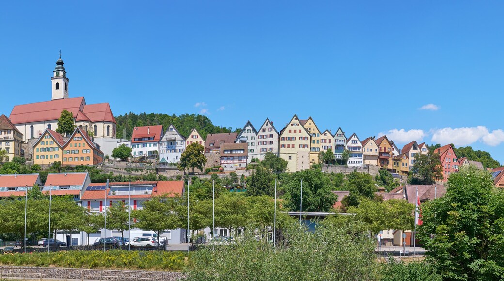 ฮอร์บ อัม เนคคาร์