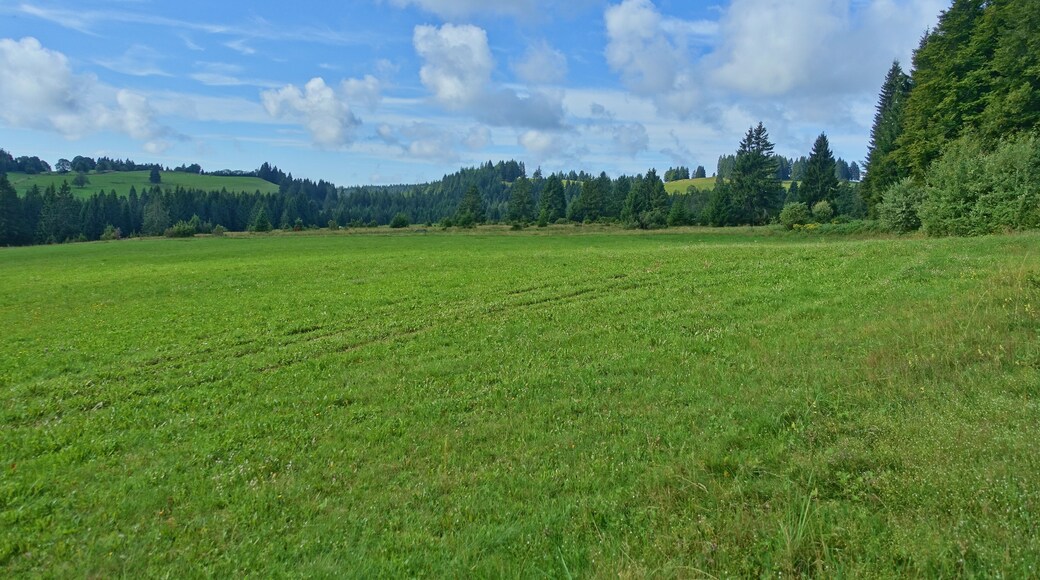 Für den Hotzenwald representativer Landschaftsausschnitt mit gehölzarmen Extensivweiden, Hoch- und Niedermoorkomplexen, naturnahen Waldgesellschaften und offenen, felsigen Abhängen.