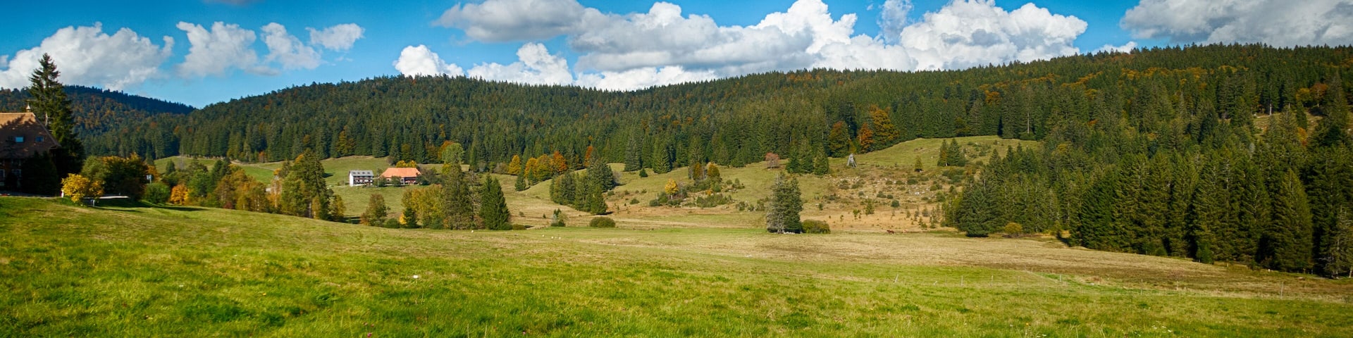 Landesweit bedeutsames Moorgebiet mit zahlreichen gefÀhrdeten, zum Teil vom Aussterben bedrohten Tier- und Pflanzenarten.