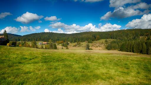Landesweit bedeutsames Moorgebiet mit zahlreichen gefährdeten, zum Teil vom Aussterben bedrohten Tier- und Pflanzenarten.