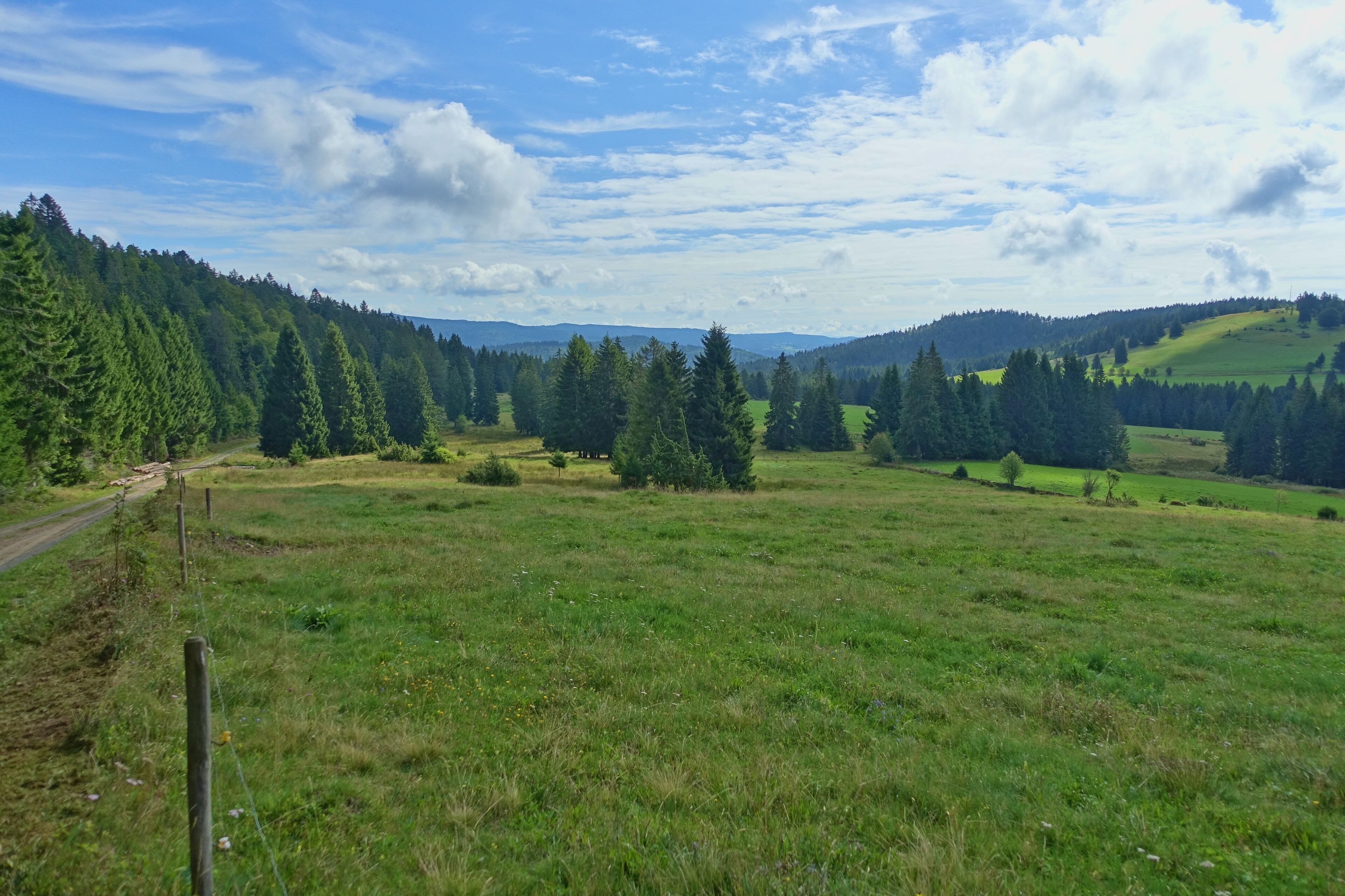 Für den Hotzenwald representativer Landschaftsausschnitt mit gehölzarmen Extensivweiden, Hoch- und Niedermoorkomplexen, naturnahen Waldgesellschaften und offenen, felsigen Abhängen.