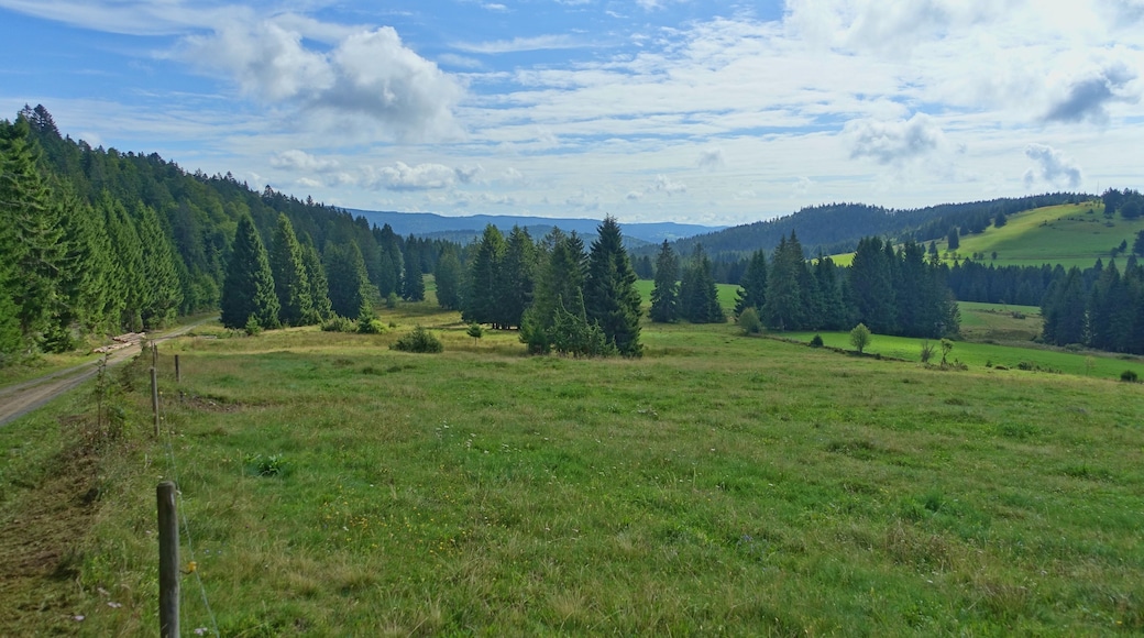 Für den Hotzenwald representativer Landschaftsausschnitt mit gehölzarmen Extensivweiden, Hoch- und Niedermoorkomplexen, naturnahen Waldgesellschaften und offenen, felsigen Abhängen.