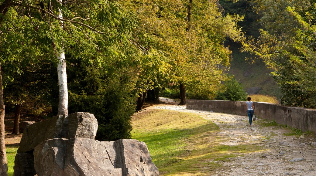A girl walks along a path on a sunny autumn day in the valley of AcquaFraggia waterfalls in Borgonuovo - Valchiavenna, Italy