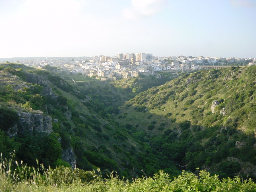 A valley with a city in the background.