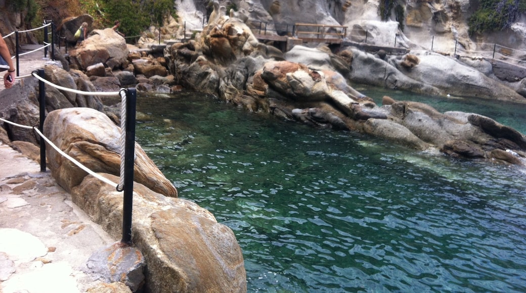 Italy - Elba Island Sant'Andrea