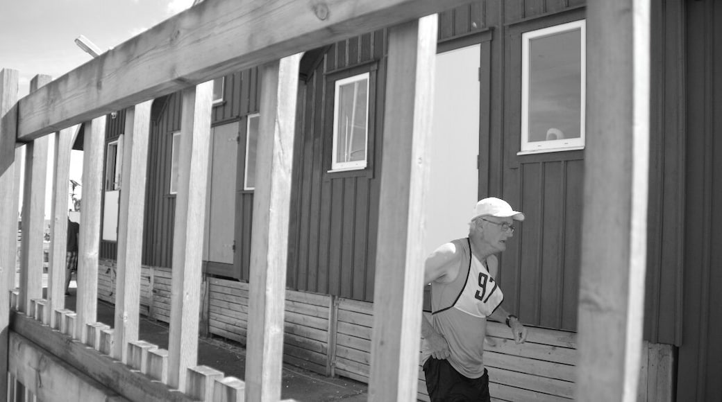 Happened to serendipitously catch the Astol Runt!