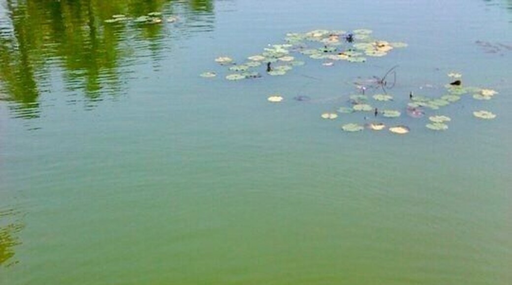 Not just any koi pond...the biggest koi pond I've ever laid eyes on!
@ Nam Hai Resort - Hoi An