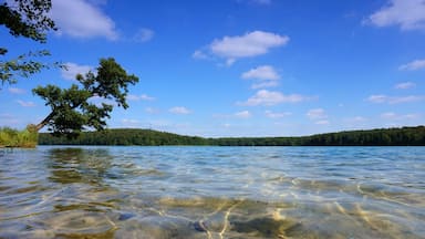 Klares Wasser und Ufer am Stechlinsee