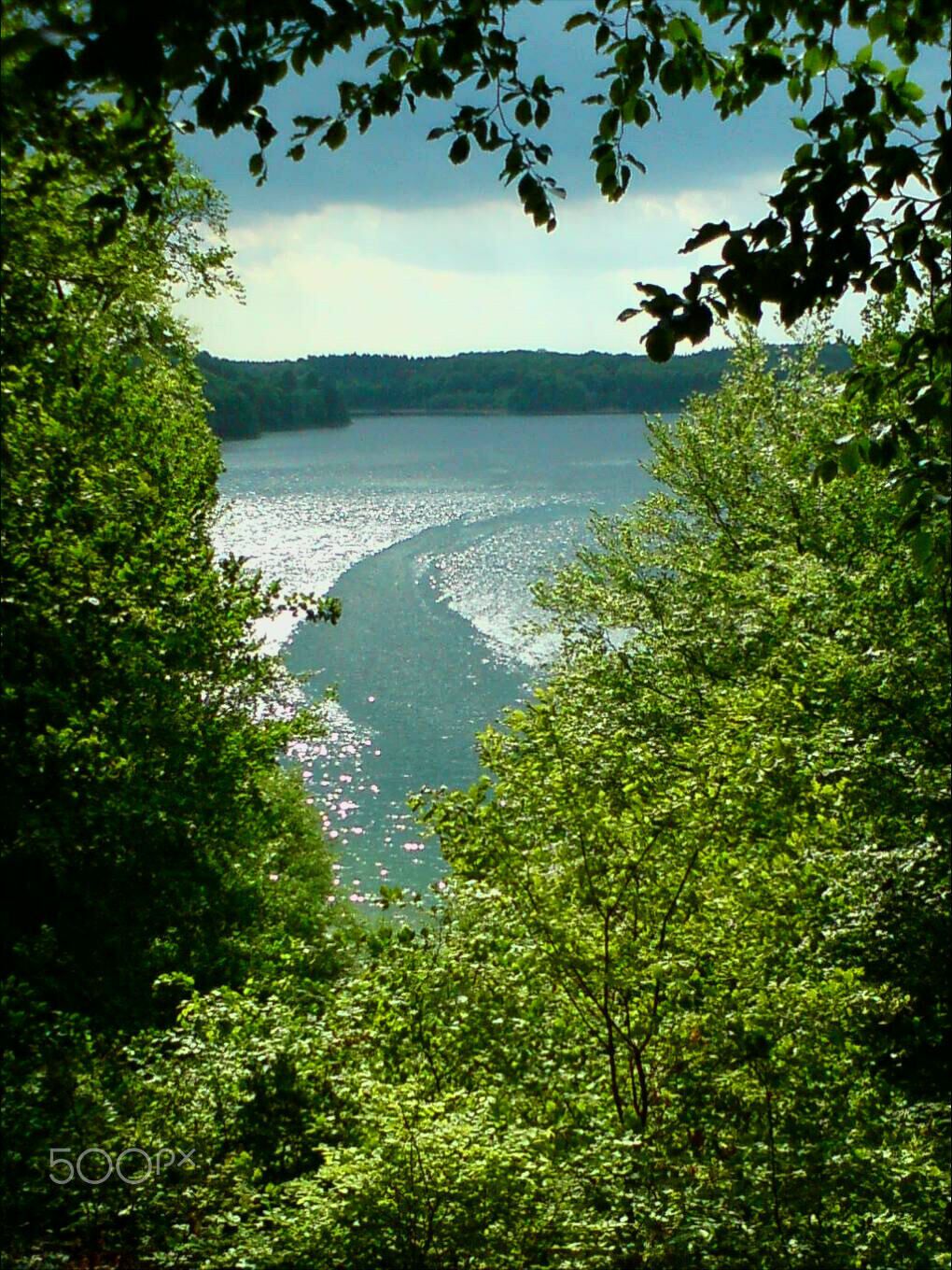 500px provided description: Duchess Augusta S Haunt [#Oberhavel ,#Summer ,#Lake ,#Woodland ,#Peetschsee]